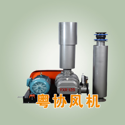 曝氣專用羅茨風(fēng)機(jī).jpg