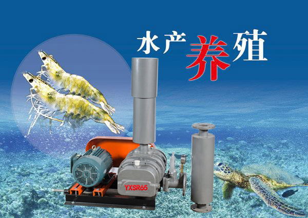 水產(chǎn)養(yǎng)殖風(fēng)機.jpg