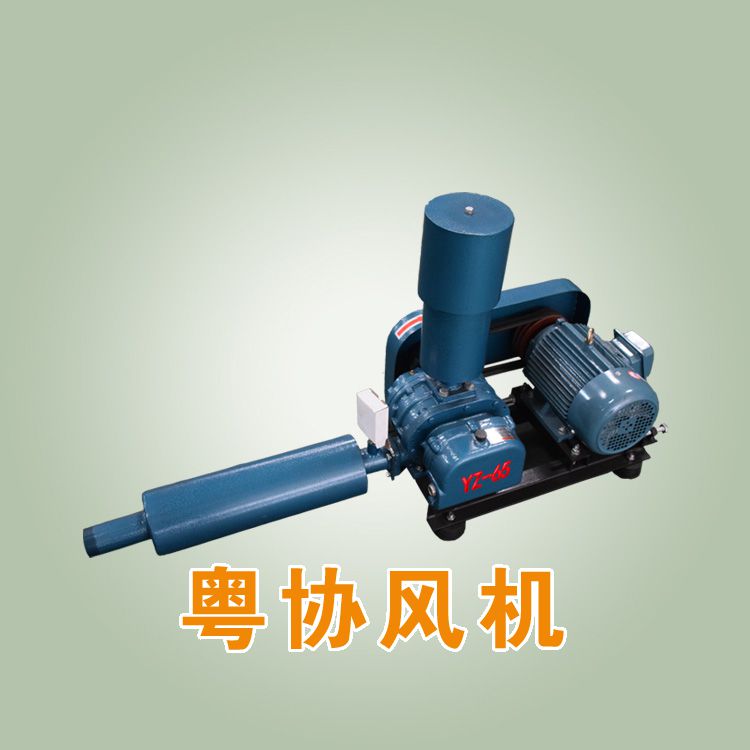 增氧羅茨風(fēng)機(jī).jpg