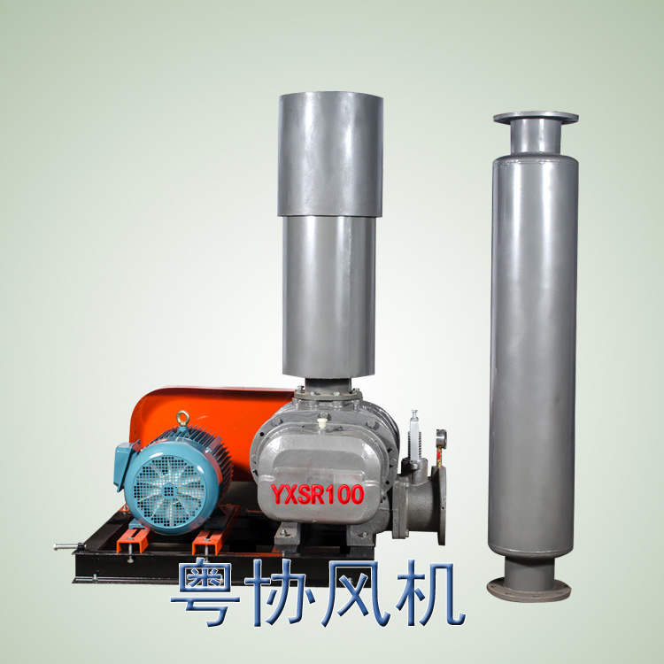 環(huán)保羅茨風機